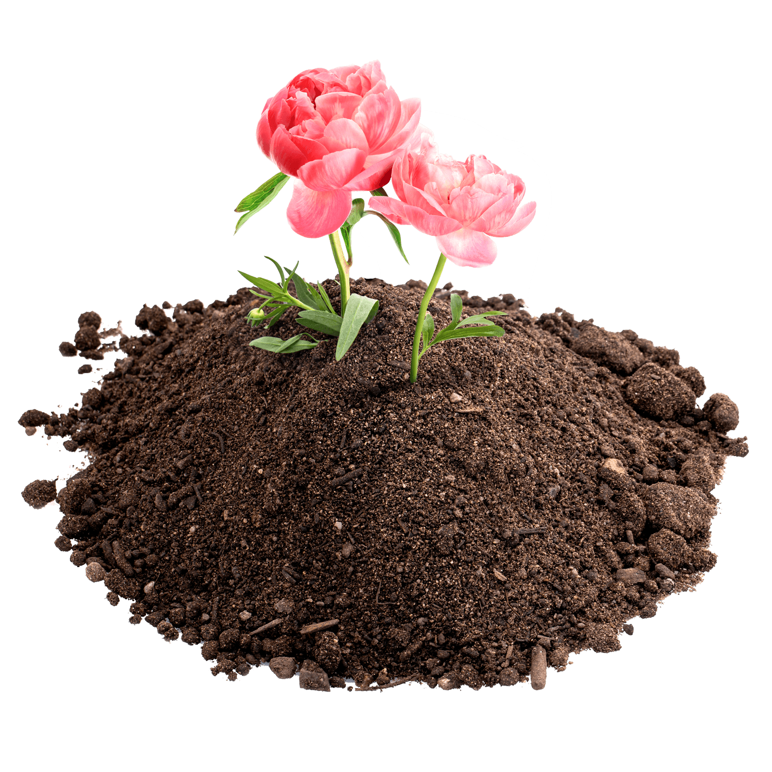 Gartenerde_gross_plus2-1500