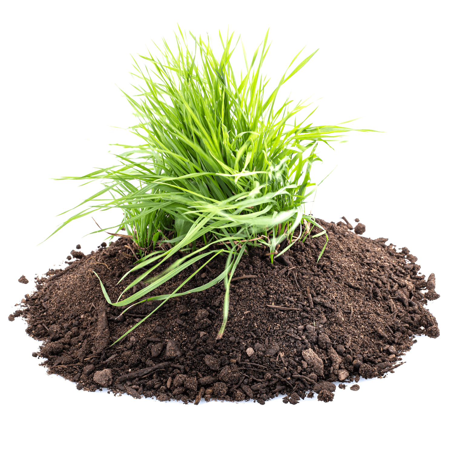 Rasenerde_gross_plus_alt